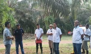 Pacu Agronomis, Sawit PTPN VII Wilayah Sumsel Progresif, Betung Krawo Raih Laba Terbesar