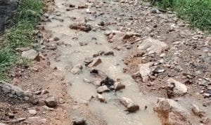 Memprihatinkan.. Jalan Provinsi Menuju Wisata Teluk Kiluan Tanggamus, hancur Lebur