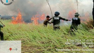 Tiga Hari Tim Gabungan Padamkan Kebakaran TN Way Kambas