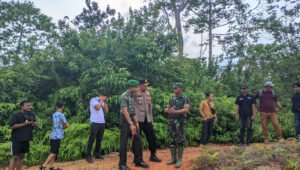 Harimau yang Kerap Makan Ternak Warga Pesisir Barat Ditangkap