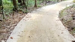 Warga Kecewa! Proyek Jalan Desa Paya Pesawaran Diduga Sarat Penyimpangan