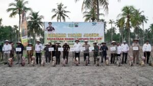 Jagung Jadi Simbol Sinergi: Bupati dan Kajati Tanam Harapan di Lampung Selatan