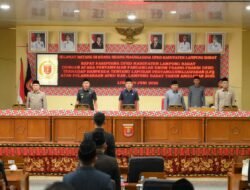 Ekonomi Lampung Barat Terus Menguat, PDRB 2025 Tembus Rp10,77 Triliun