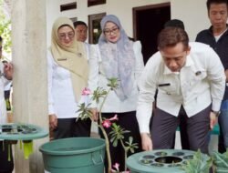 Teras HELAU Jadi Senjata Baru Lampung Selatan Lawan Kemiskinan, Pekarangan Warga Disulap Jadi Sumber Penghasilan