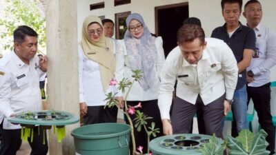 Teras HELAU Jadi Senjata Baru Lampung Selatan Lawan Kemiskinan, Pekarangan Warga Disulap Jadi Sumber Penghasilan