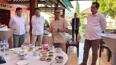 PTPN I Pacu Transformasi Kopi Ijen, dari Optimalisasi Kebun hingga Hilirisasi
