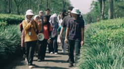 Dari Pucuk Teh hingga Secangkir Minuman, Wonosari Tawarkan Wisata Edukasi di Tengah Perkebunan